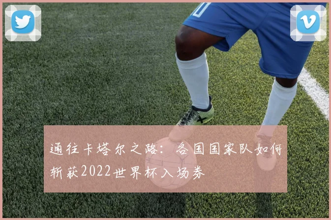 通往卡塔尔之路：各国国家队如何斩获2022世界杯入场券