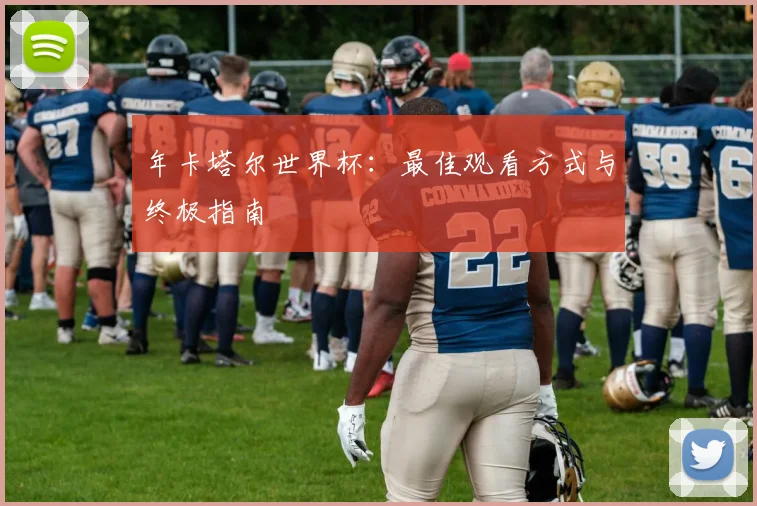年卡塔尔世界杯：最佳观看方式与终极指南