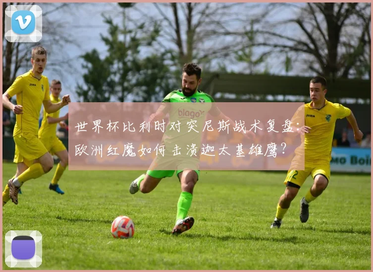 世界杯比利时对突尼斯战术复盘：欧洲红魔如何击溃迦太基雄鹰？