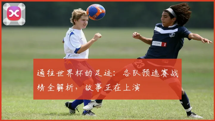 通往世界杯的足迹：各队预选赛战绩全解析，故事正在上演